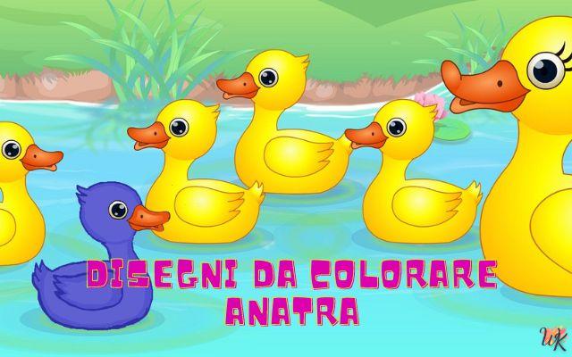Anatra 1 Disegni da colorare Anatra
