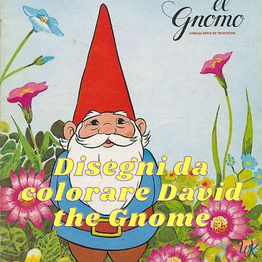 David the Gnome 1 Disegni da colorare David the Gnome