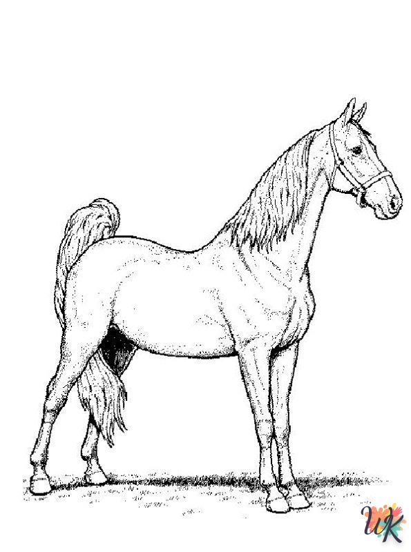 Cavallo 29