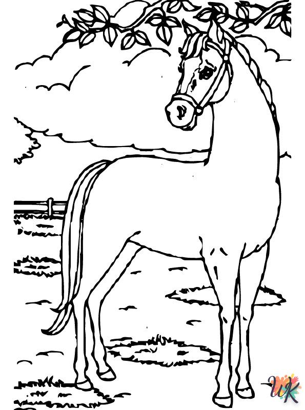 Cavallo 31