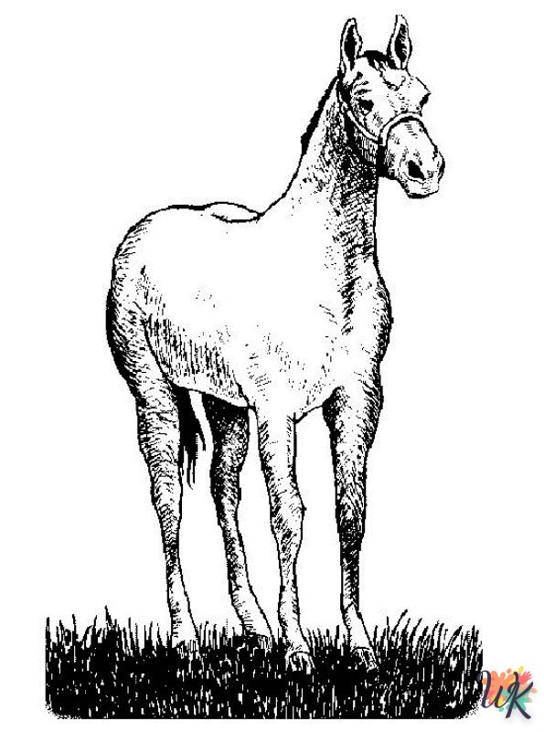 Cavallo 34