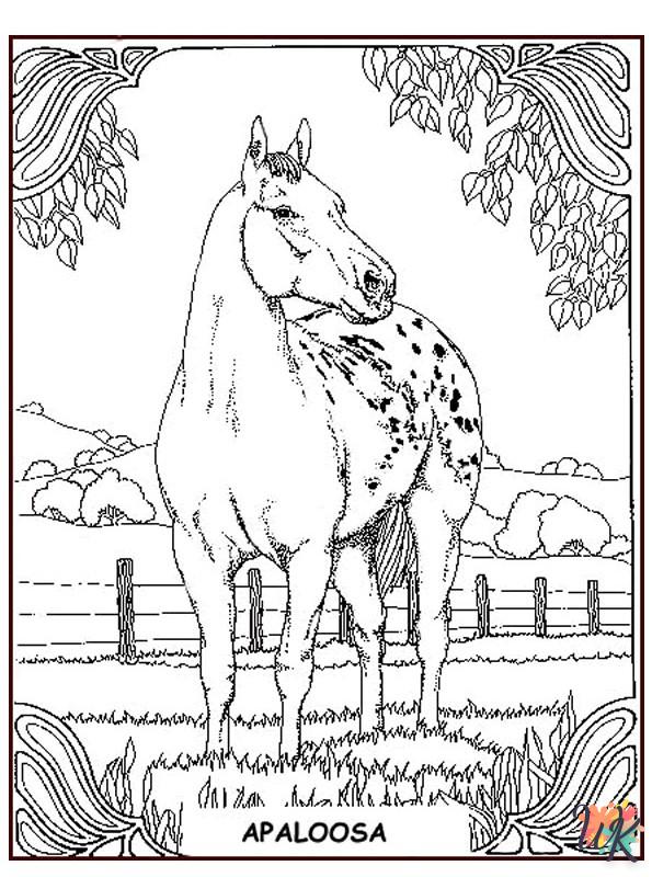 Cavallo 38