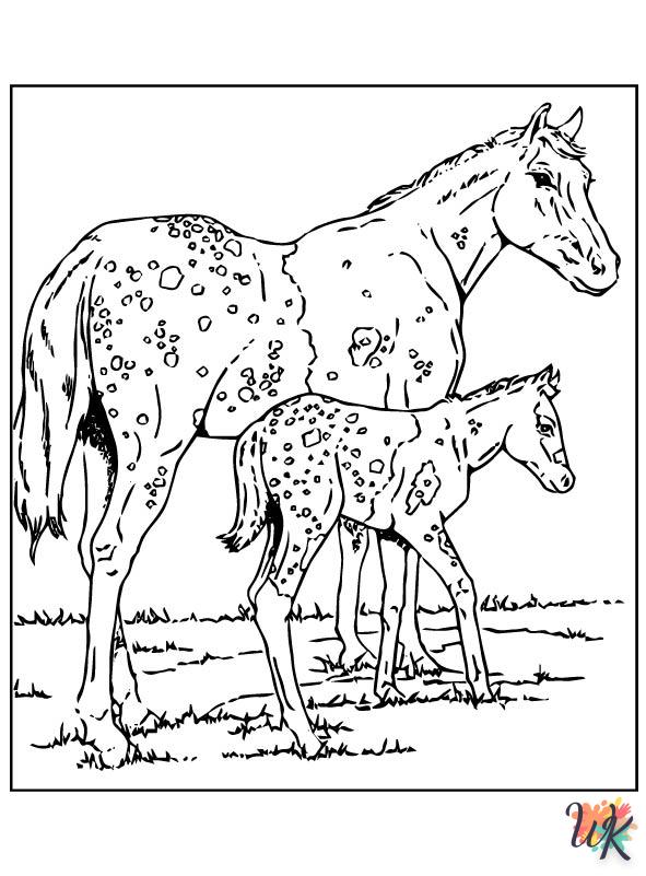 Cavallo 43