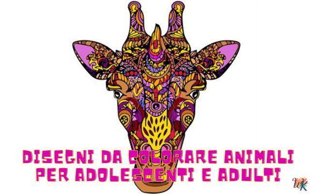 Animali per adolescenti e adulti 1 Disegni da colorare Animali per adolescenti e adulti