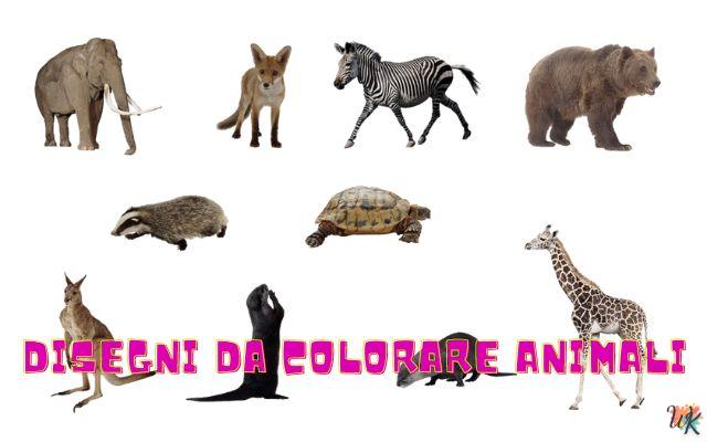 Disegni da colorare Animali