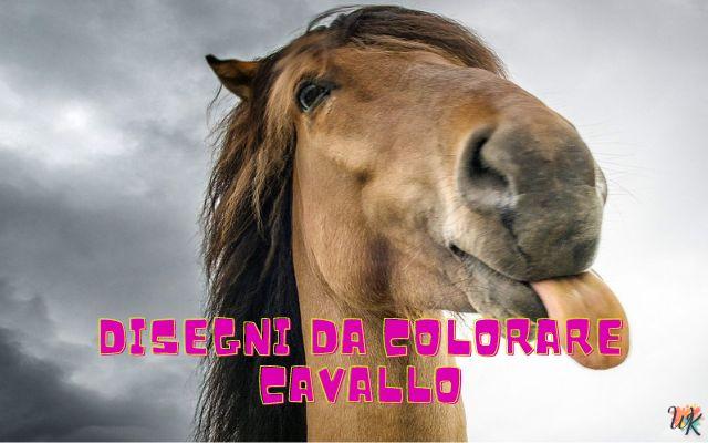 Cavallo 1 Disegni da colorare Cavallo