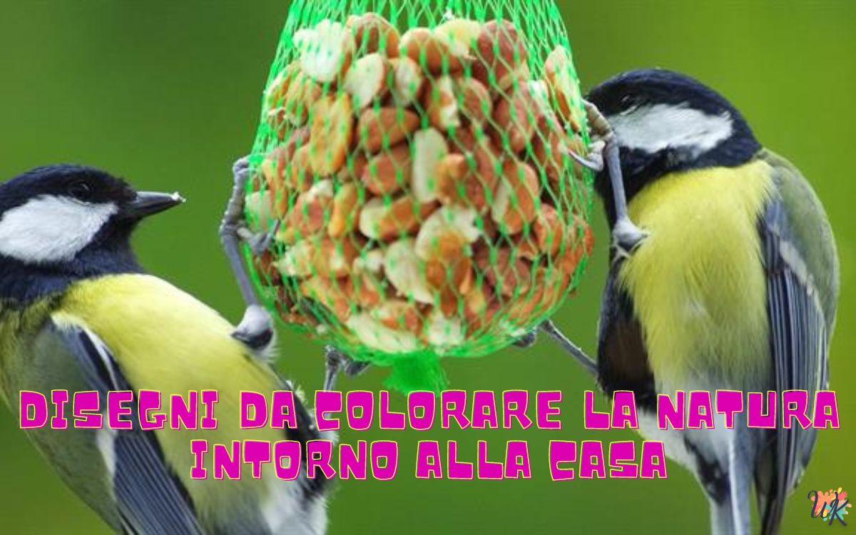 La natura intorno alla casa 1 Disegni da colorare La natura intorno alla casa
