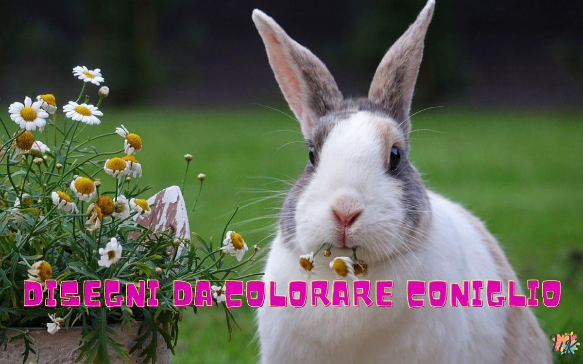 Coniglio 1 Disegni da colorare Coniglio