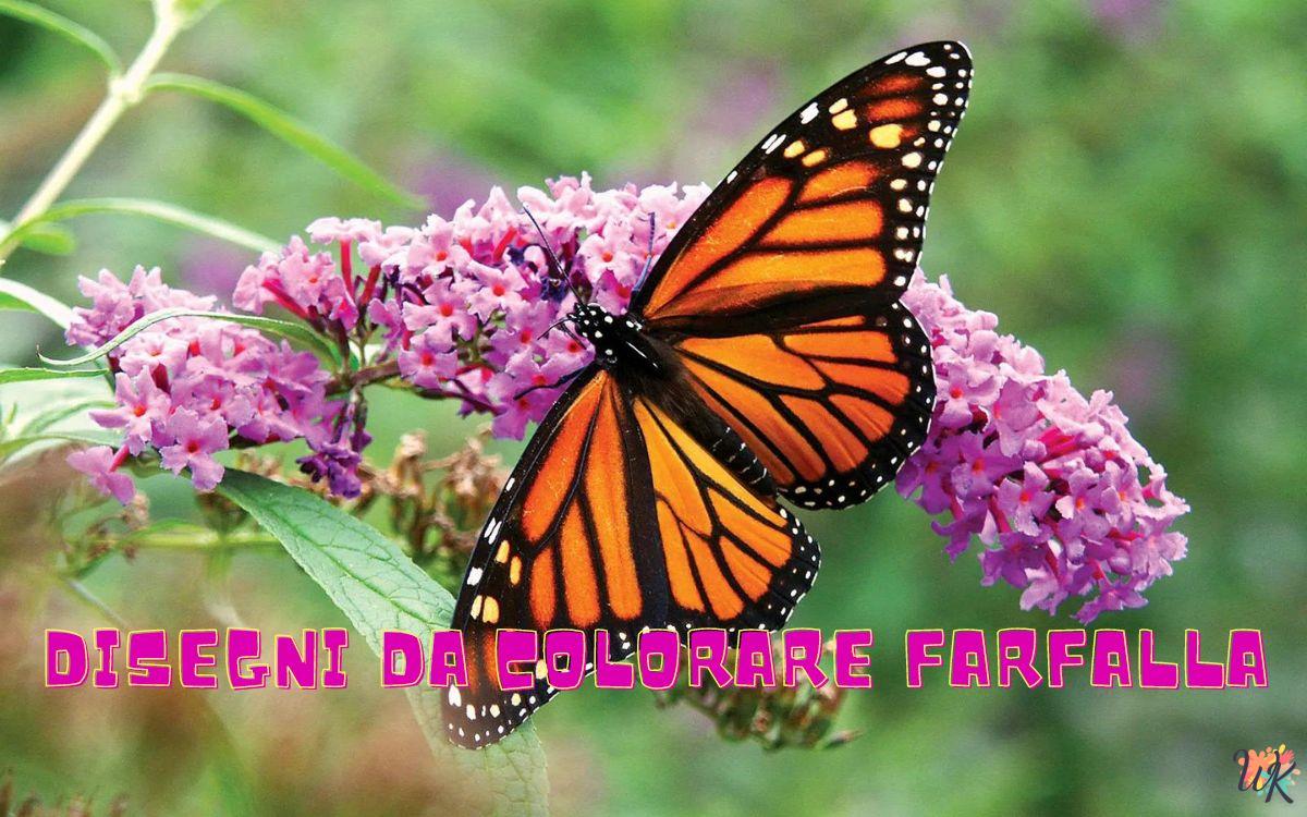 Farfalla 1 Disegni da colorare Farfalla