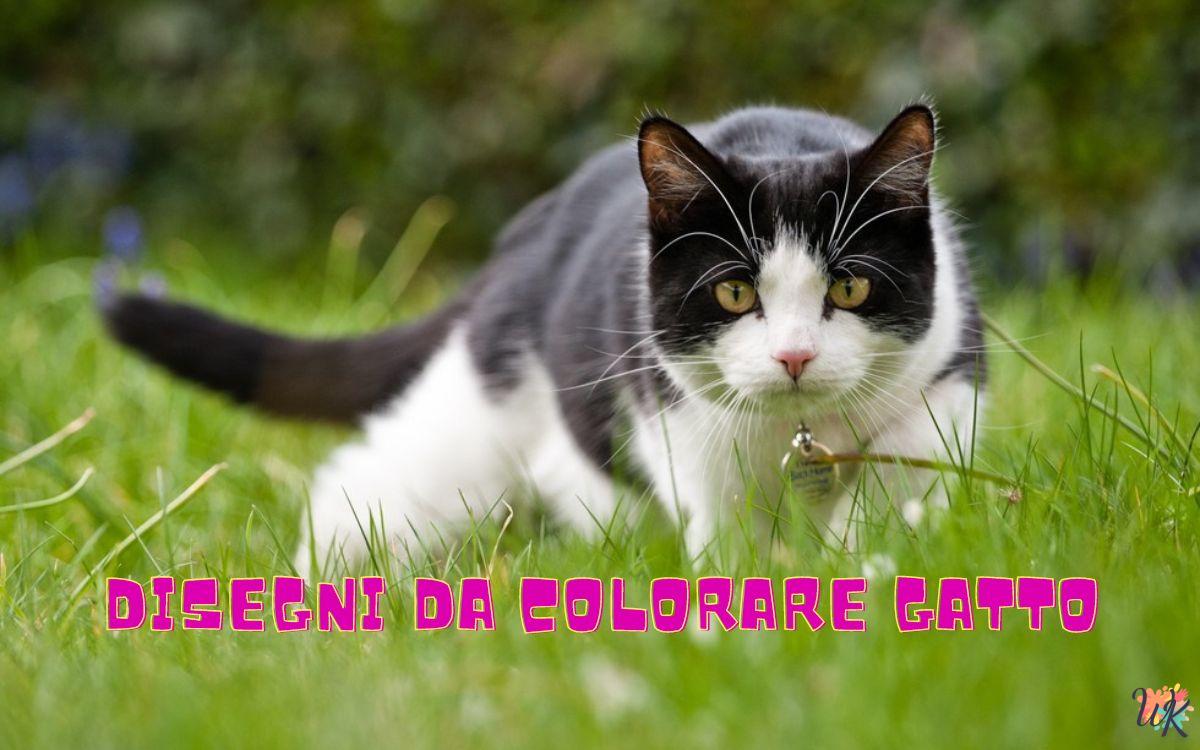 Gatto 1 Disegni da colorare Gatto