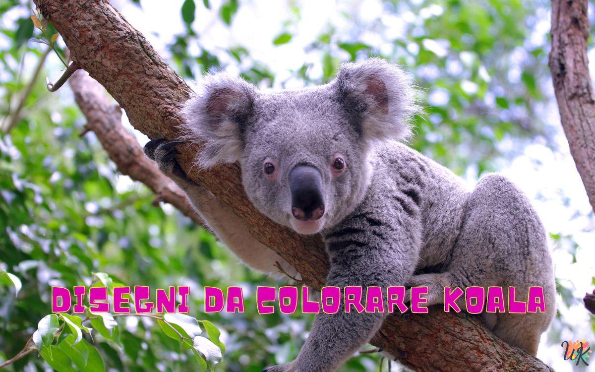 Koala 1 Disegni da colorare Koala
