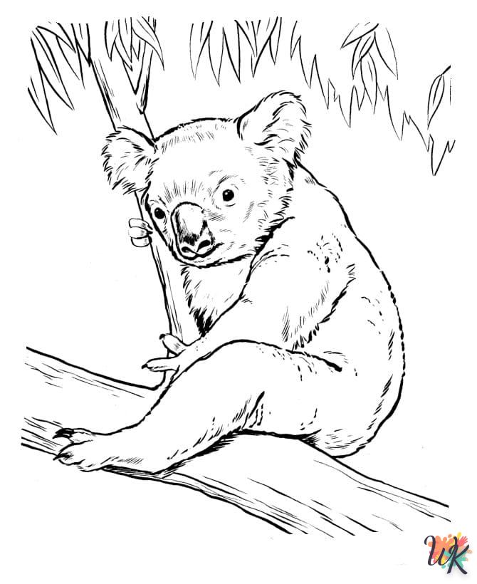 Koala 15
