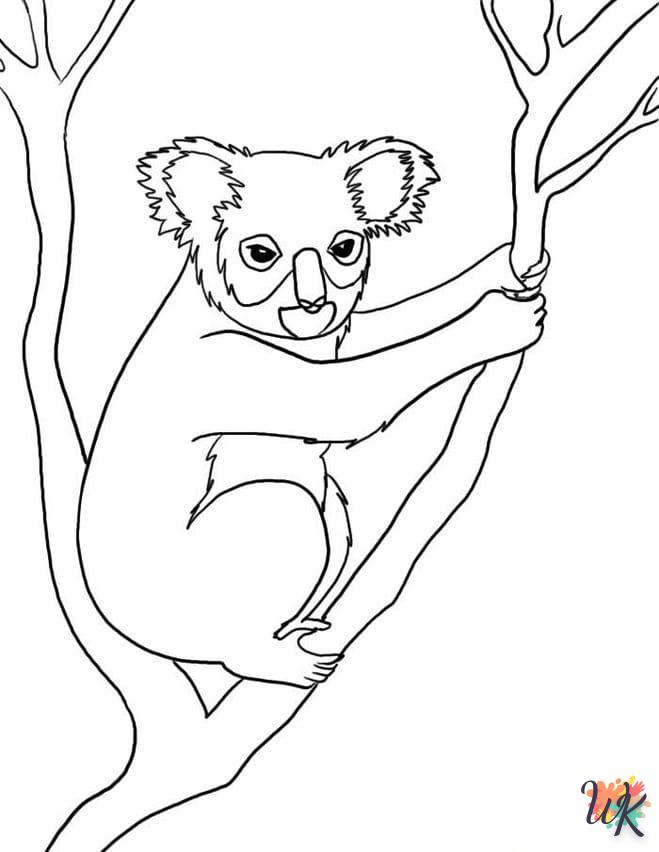 Koala 25