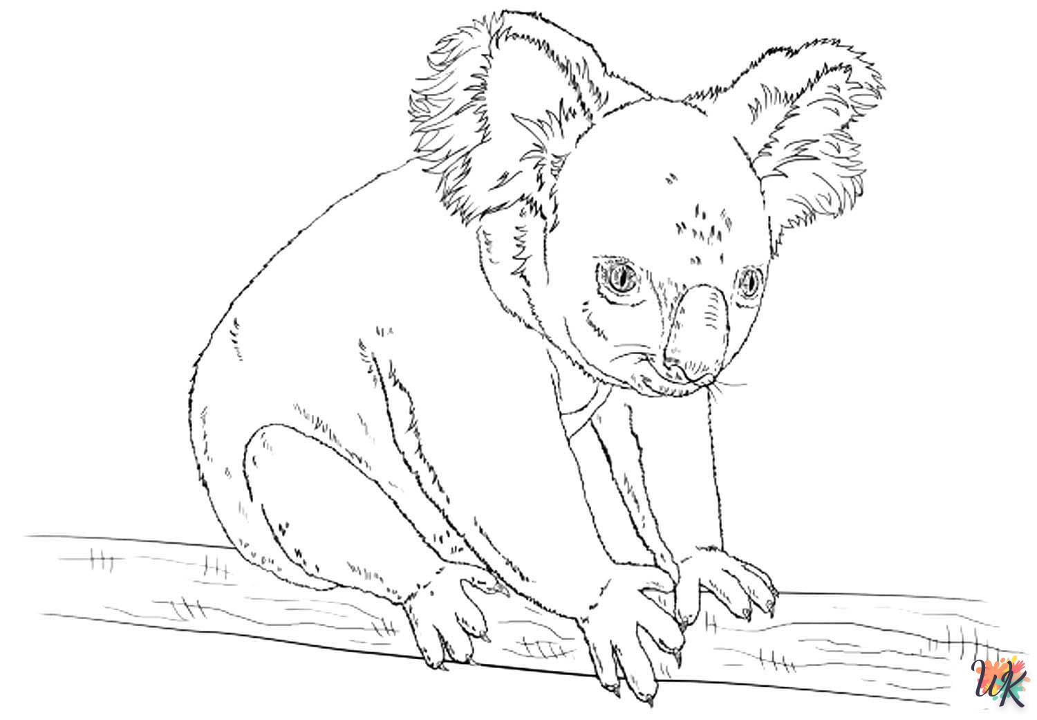 Koala 36