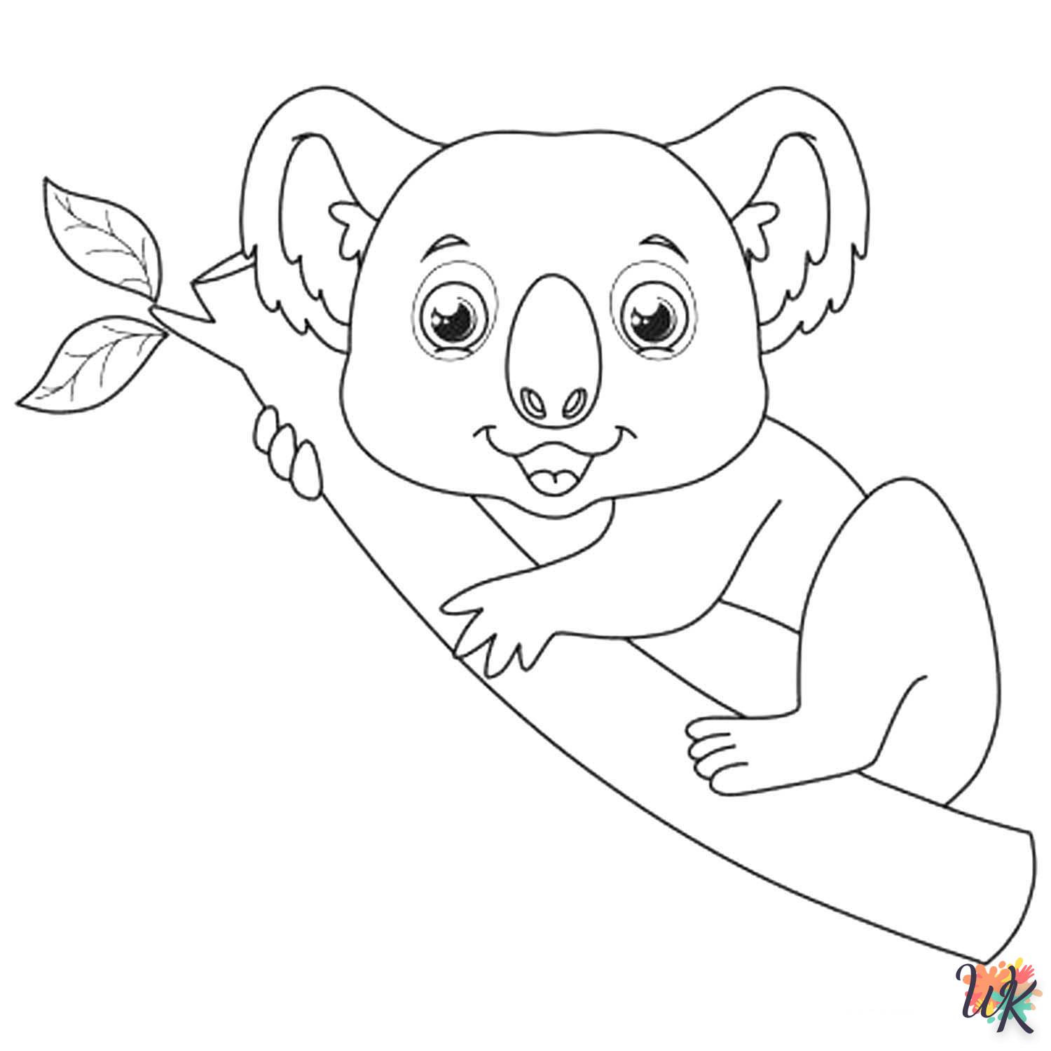 Koala 37