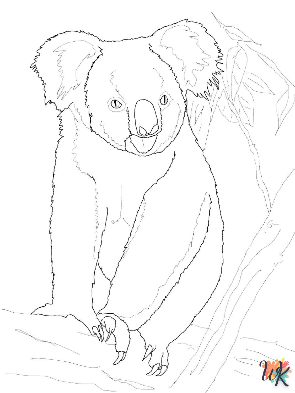Koala 43