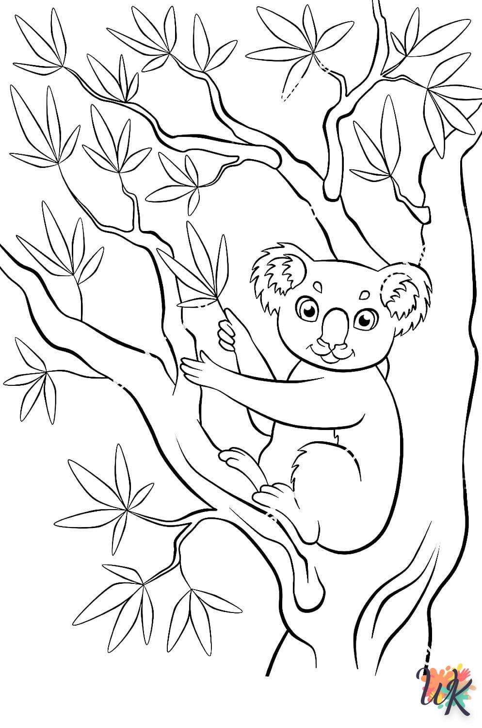 Koala 49