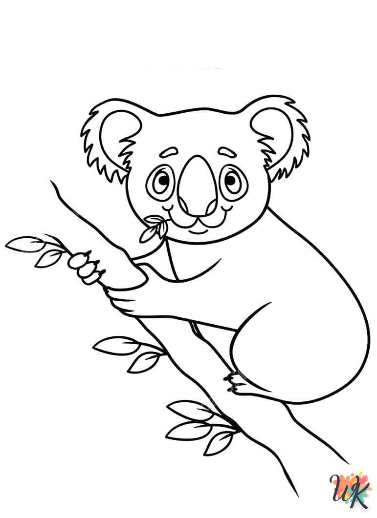 Koala 50