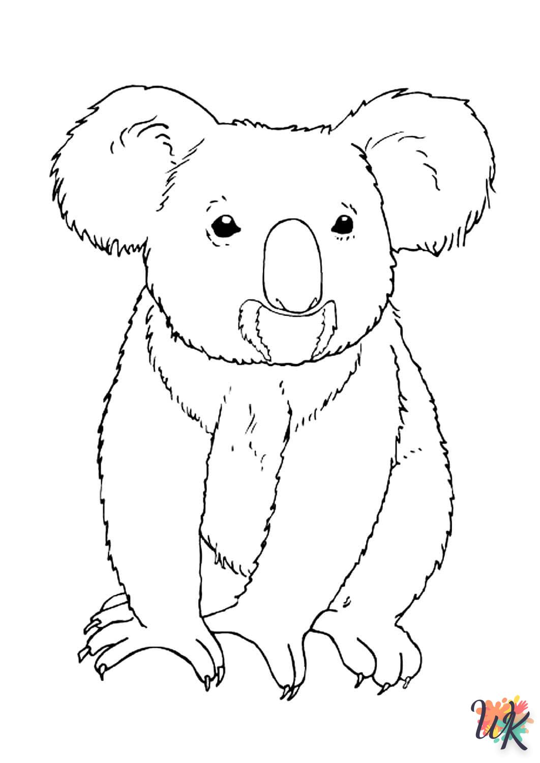 Koala 58