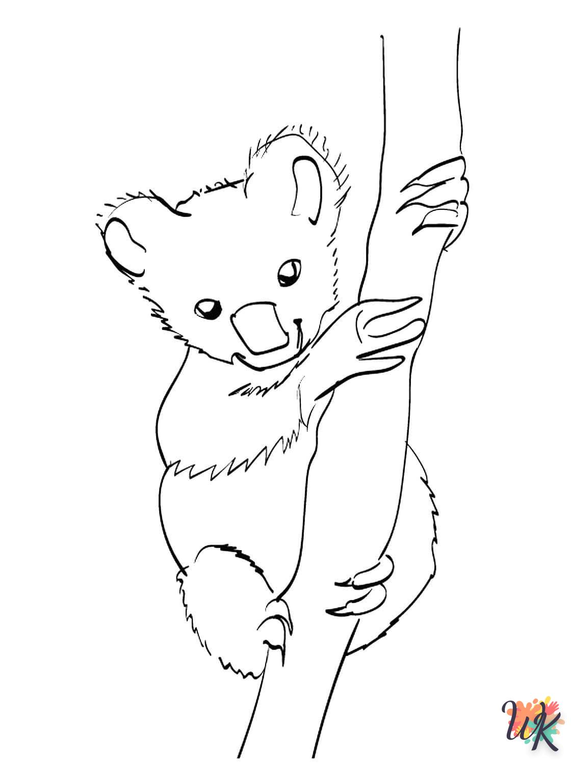 Koala 61