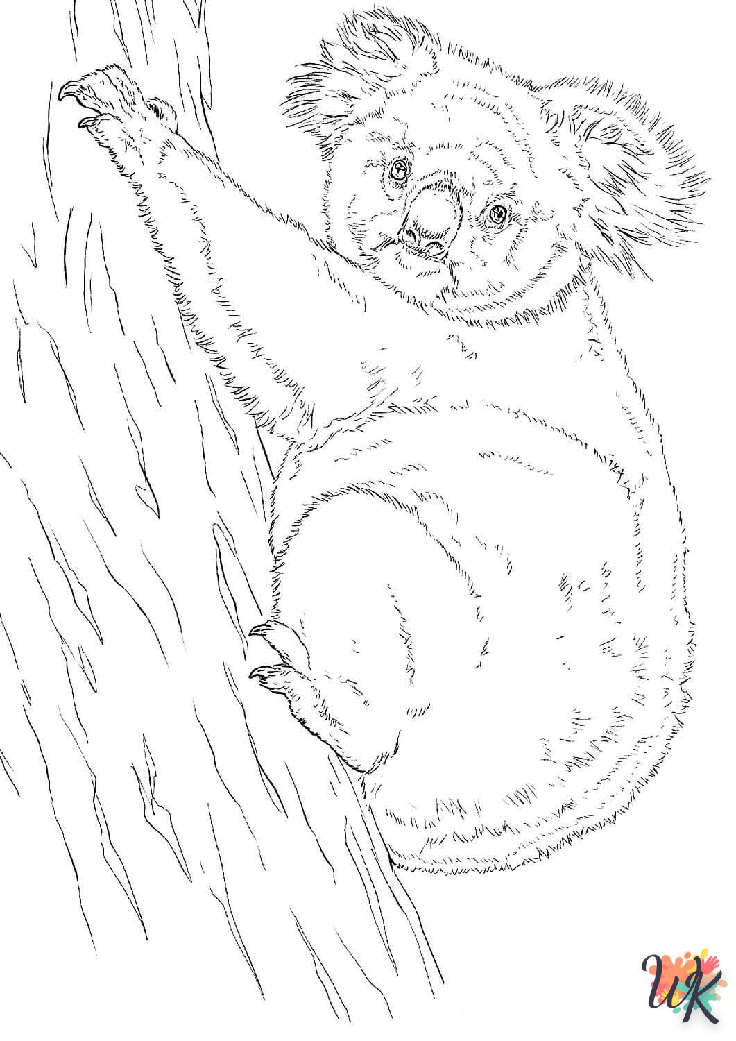 Koala 66