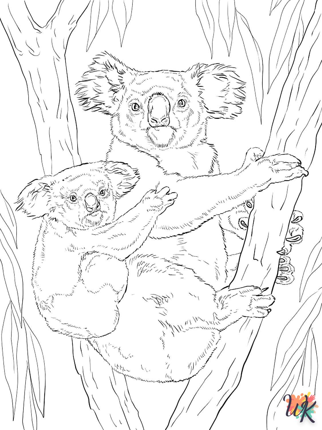 Koala 79