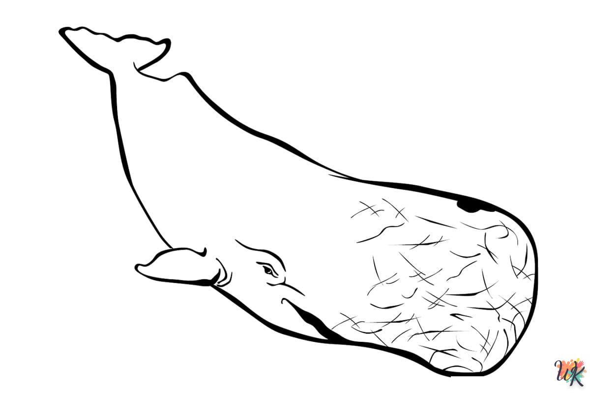 Disegni da Colorare Balena 19