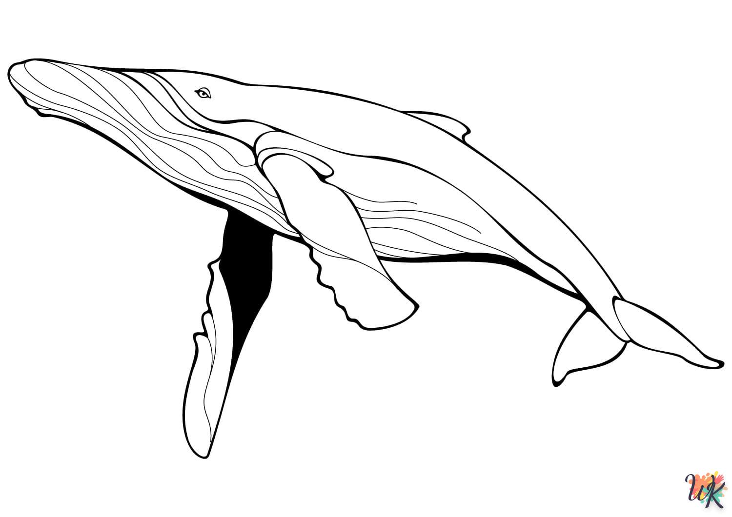 Disegni da Colorare Balena 33