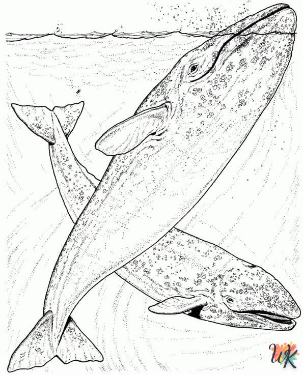 Disegni da Colorare Balena 38