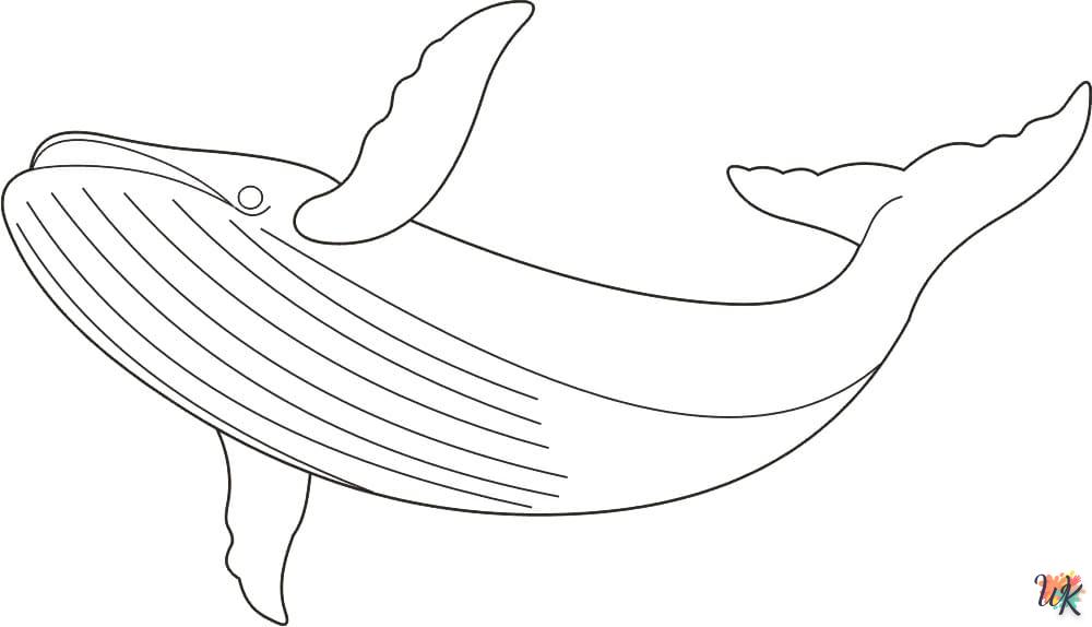 Disegni da Colorare Balena 52