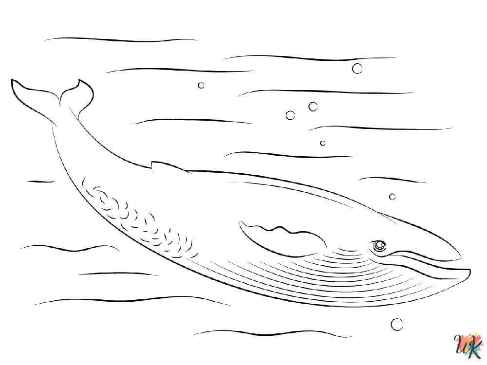 Disegni da Colorare Balena 98