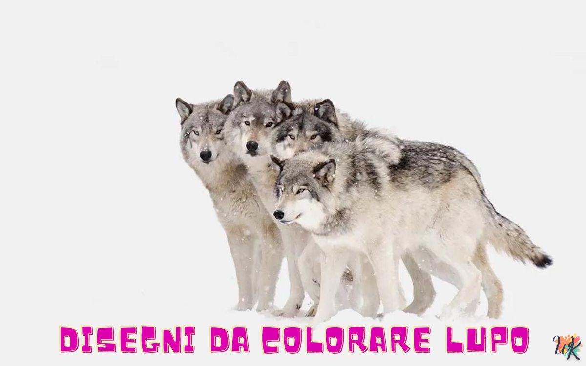 Lupo 1 Disegni da colorare Lupo