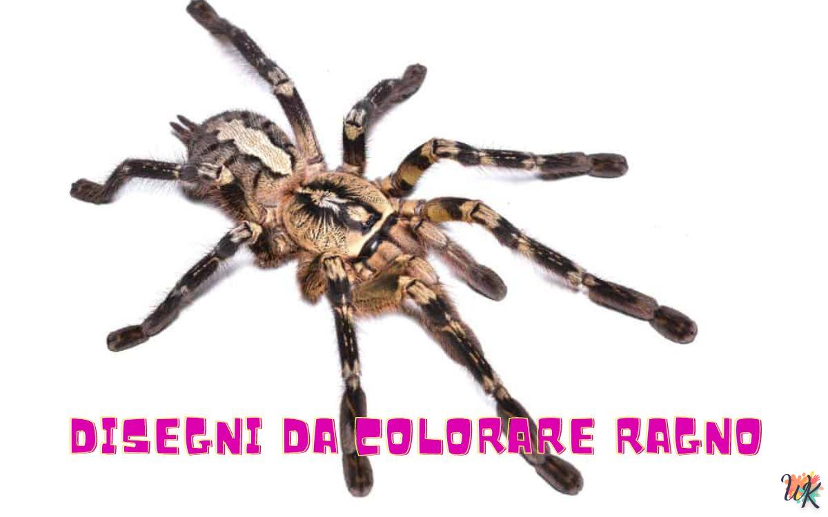Ragno 1 Disegni da colorare Ragno