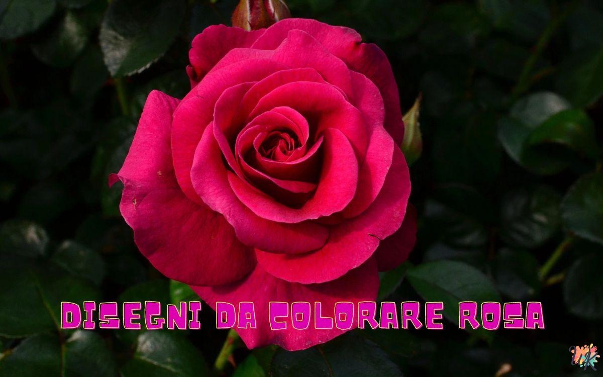 Rosa 1 Disegni da colorare Rosa