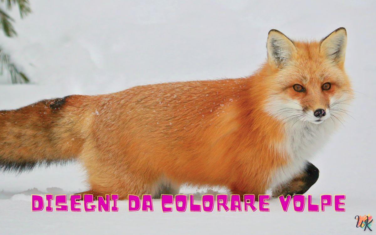 Volpe 1 Disegni da colorare Volpe