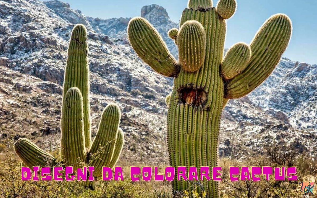 Disegni da colorare Cactus