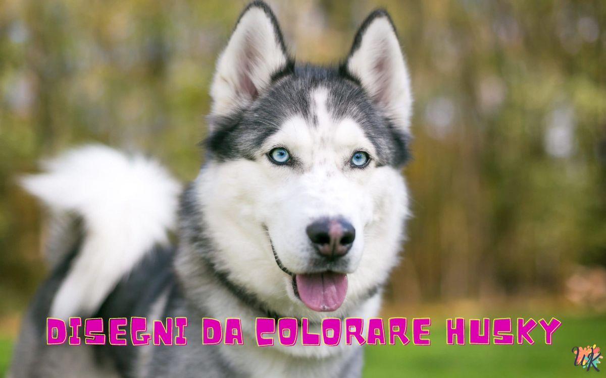 Husky 1 Disegni da colorare Husky