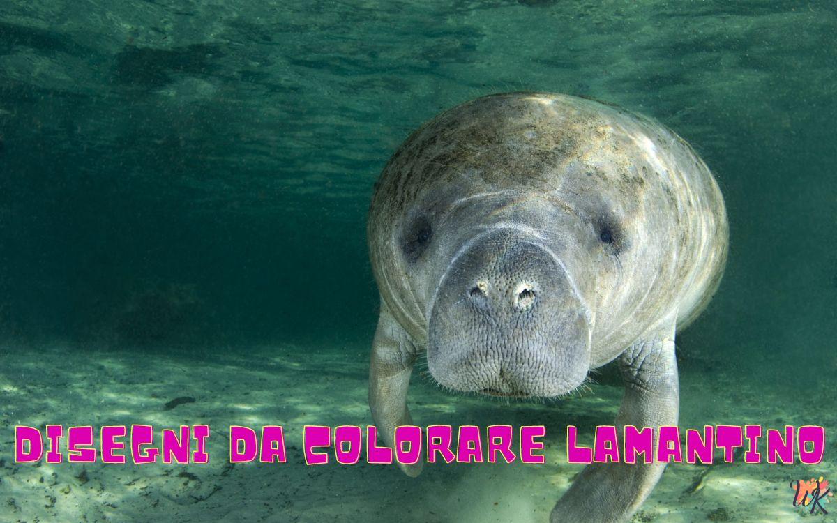 Lamantino 1 Disegni da colorare Lamantino
