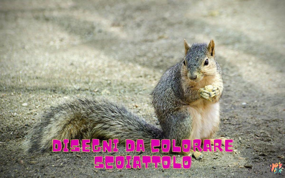 Scoiattolo 1 Disegni da colorare Scoiattolo