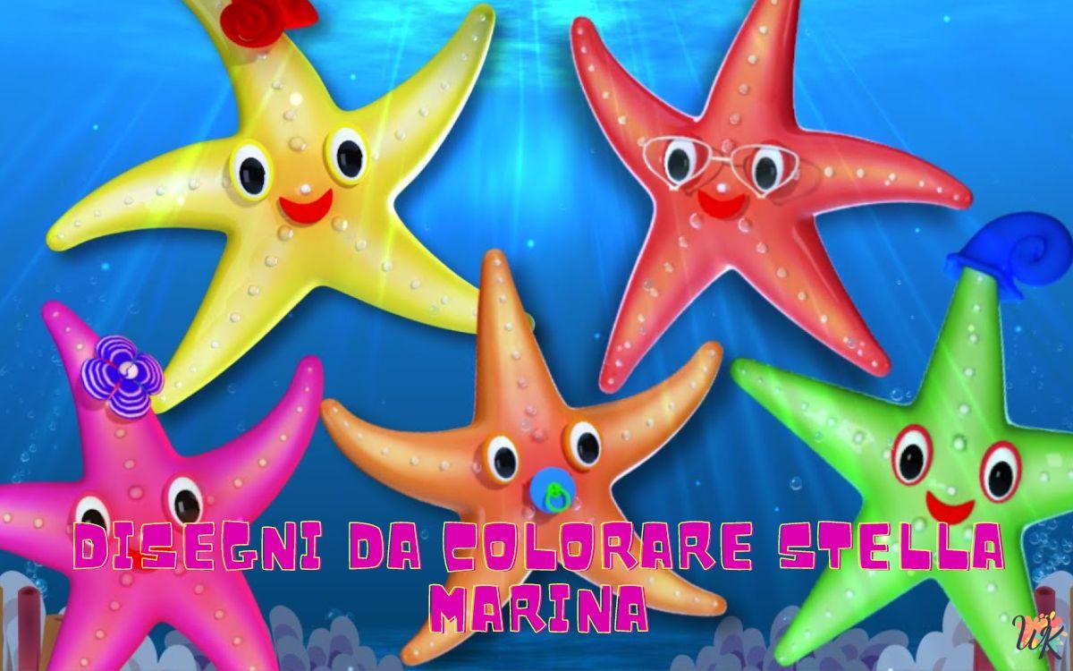 Stella Marina 1 Disegni da colorare Stella Marina
