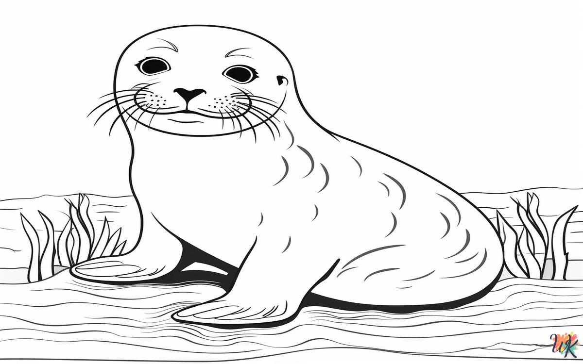 Foche 1 Disegni da colorare Foche